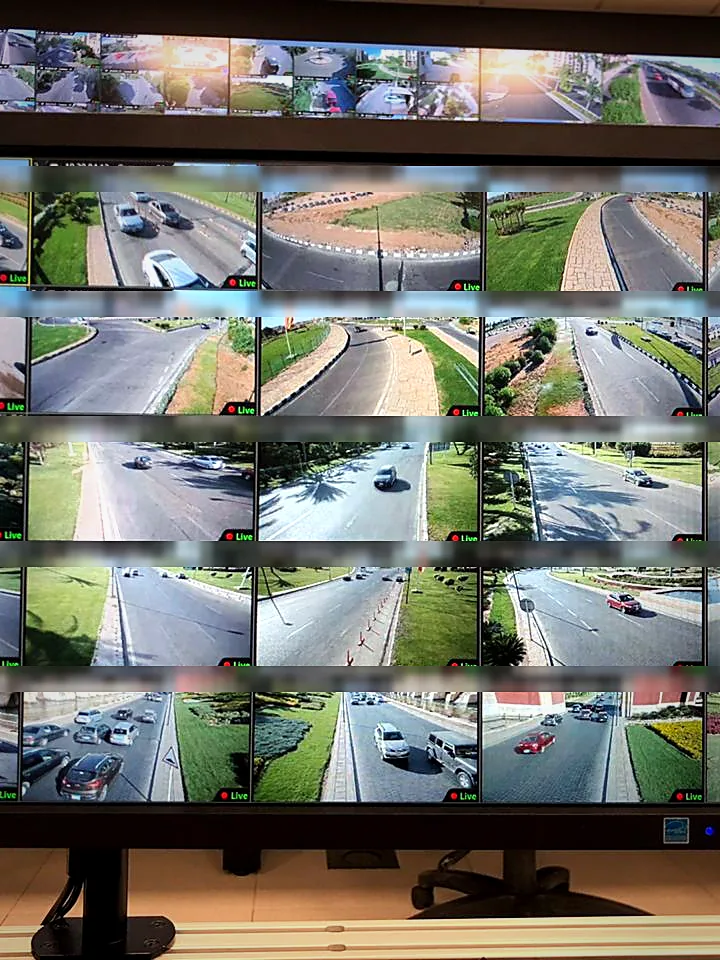 Live monitoring screen showing compound camera feeds